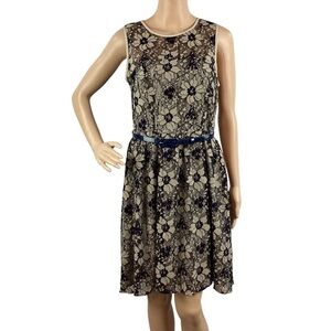 LOFT Outlet Lace Fit and Flare Dress Size 4 Blue Floral